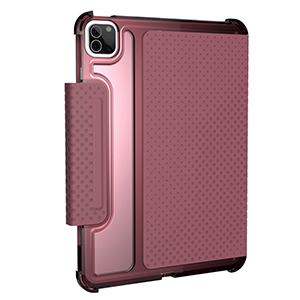 Funda Gear4 Windsor iPhone X-XS Oro-Rosa                              