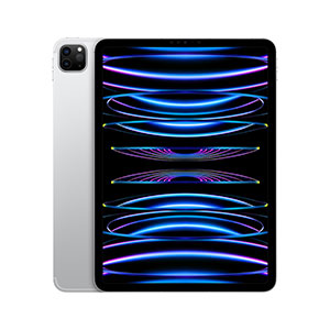 Compra iPad Pro 11" MNYM3LZ/A Wi-Fi + Cellular 2TB Plata